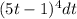 (5t-1)^{4} dt