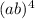 (a + b)^{4} 
