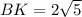 BK=2\sqrt{5}