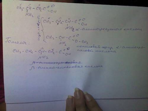 Запишите структурные формулы в-аминобутановой кислоты,двух её изомеров разных видов и одного гомолог