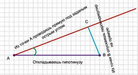 Построить прямоугольный треугольник по гепотенузе и острому углу