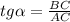 tg\alpha=\frac{BC}{AC}