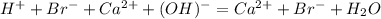 H^+ + Br^- + Ca^{2+} + (OH)^- = Ca^{2+} + Br^- + H_2O