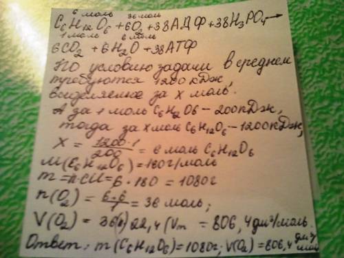 Для покрытия энергетических расходов человека в среднем требуется около 1200 кдж энергии в сутки. ра