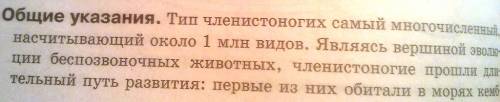 Охарактеризуйте особенности строения и функций систем внутренних органов членистоногих по сравнению 