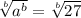 \sqrt[b]{a^{b}}=\sqrt[b]{27}