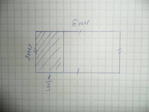 Начерти в тетради прямоугольник со сторонами 3см. и 6 см.найди его третью часть и вычисли ее площадь