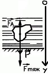 Какую надо приложить силу, чтобы держать под водой камень массой 30 кг, объемом 0,012 м3? изобразите