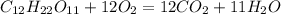 C_{12}H_{22}O_{11}+12O_2=12CO_2+11H_2O 