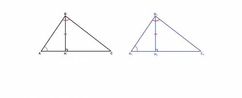 Докажите, что треуг.авс = треуг. а1в1с1, если угола = угол а1, угол в = угол в1, и вн = в1н1, где вн