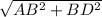 \sqrt{AB^2+BD^2}