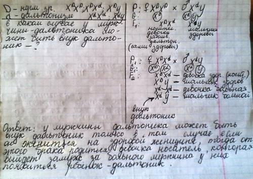 Вкаком случае у мужчины-дальтоника может быть внук-дальтоник. только не в письменном виде,а решение.