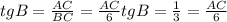 tg B =\frac{AC}{BC}=\frac{AC}{6} tg B=\frac{1}{3}=\frac{AC}{6}