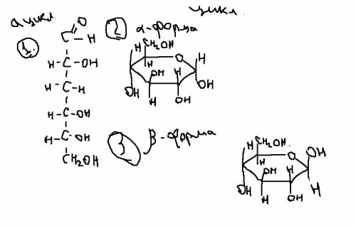 Свопросом(( глюкоза циклическая и ациклическая формы? ?