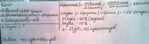 Гормон глюкагон имеет белковую природу. вичислите количество нуклеотидов в составе гена,который коди