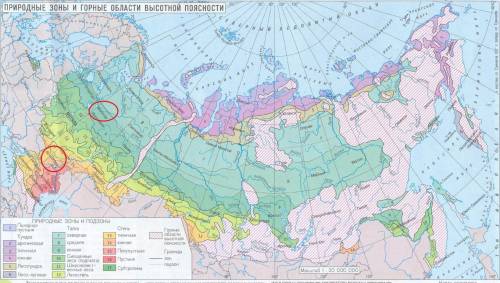 Из какой природно-хозяйственной зоны и в какую попадет путешественник, совершивший перелет из волгог