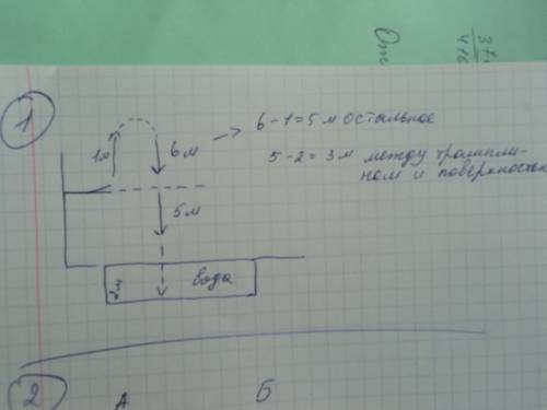 1.спортсмен пры- гает с трампли- на в воду: сначала трамплин подбра- сывает его вверх на 1 метр, зат