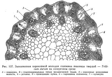 Состав преступления, предусмотренный ст.171 Уголовного кодекса Российской Федерации «Незаконное пред