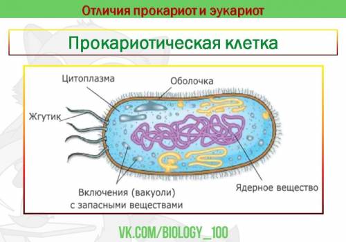 Чтобы установить соединение между двумя процессами на разных компьютерах сети, необходимо знать Inte