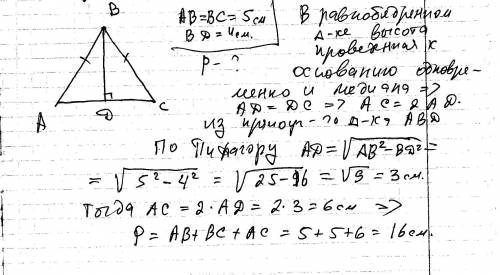 Компании имеют право начислять амортизацию по нематериальным активам в целях бухгалтерского учета сл