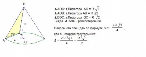 Як побудована тичинка? Що в ній утворюється?