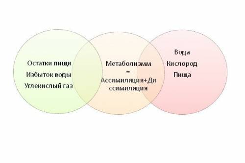 Периметр треугольника равен 4,5 дм. Одна его сторона меньше периметра на 3,2 дм, а другая -на 3,1 дм