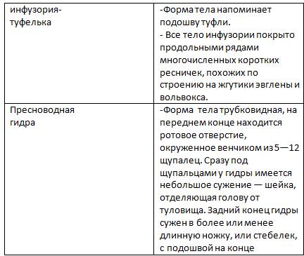 Таблица: особенности строения и процессов жизнедеятельности -туфельки и пресноводной гидры. 1строени