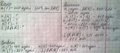 Фермент молекули днк містить 440 гуанілових нуклеотидов, що становить 22% від їх загальної кількості