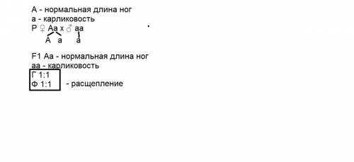 Охарактеризуйте события Гражданской войны на национальнаных окраинах России. Что в них было особенно