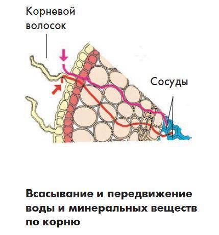 Вставьте пропущенные в тексте слова: «Катастрофическое затопление – это гидродинамическое бедствие, 