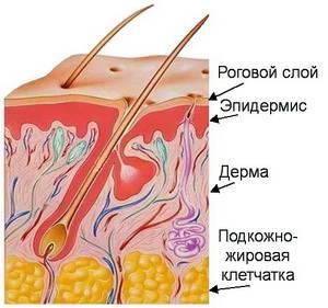 Для приготовления варенья из вишни на 3 части сахара берут 2 части ягод (по массе). Сколько килограм