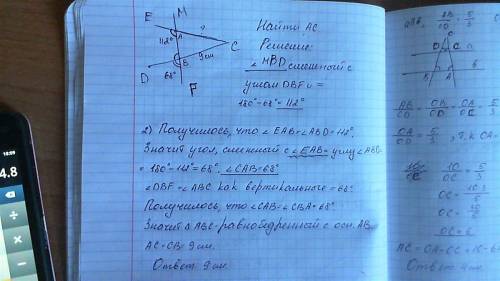 Как усложнялись кровеносная и дыхательная системы у хордовых?