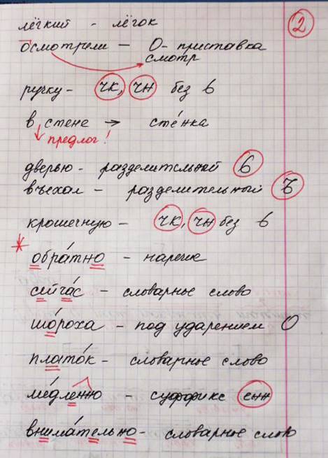 Какова вероятность проявлении признаков прабабушки?