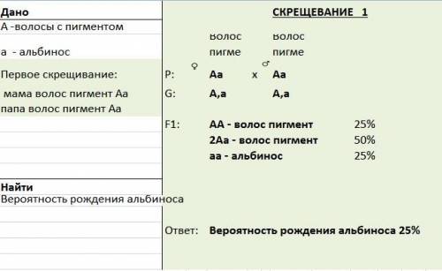 Наявність пігменту у волоссі людини домінує над альбінізмом. чоловік і жінка гетерозиготні зі пігмен