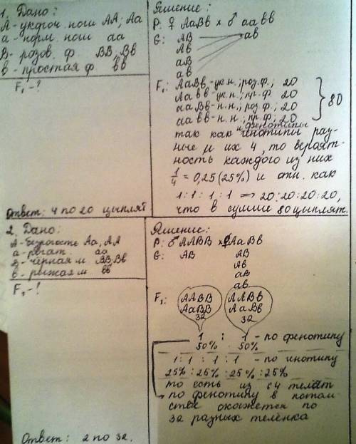 Нужно полное решение этих на генетику, и дано должно быть. 1.у кур ноги доминируют над нормальными, 