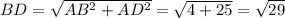 BD=\sqrt{AB^2+AD^2}=\sqrt{4+25}=\sqrt{29}