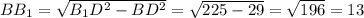 BB_1=\sqrt{B_1D^2-BD^2}=\sqrt{225-29}=\sqrt{196}=13