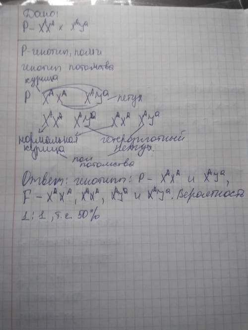 Укур встречается сцепленный с полом летальный ген (a) вызывающий гибель эмбрионов, гетерозиготы по э