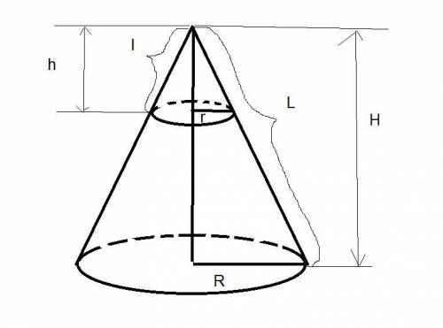 Высота конуса 64 см. параллельная основанию плоскость делит боковую поверхность в отношении 1: 63, с