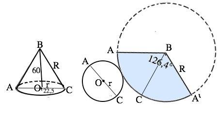 Радиус основания конуса 22,5 мм, высота 60мм. сделайте чертеж развертки полной поверхности этого кон