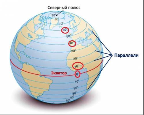 Расставьте параллели в порядке убывания их длины. 1) 10 градусов 2) 60 градусов 3) 40 градусов 4) эк