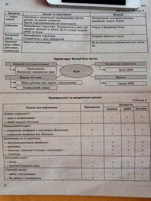 ответьте 1-2-мя фразами на каждый вопрос и выполните 1.чем отличаются друг от друга: а) днк и рнк; б