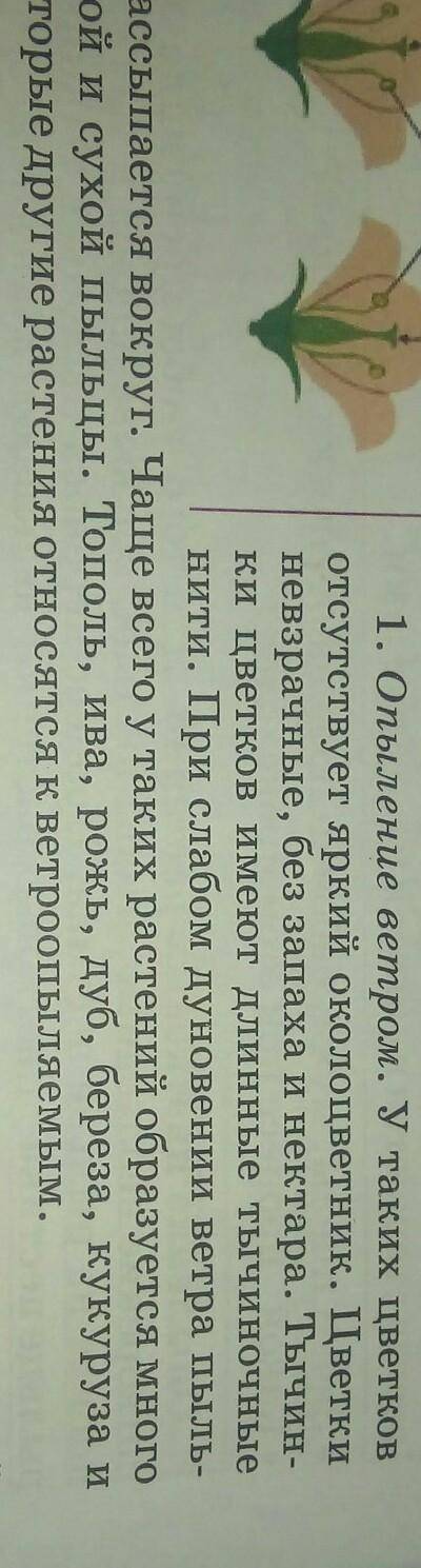 1. назовите 5 – 7 видов ветроопыляемых растений. какие при развились у них к опылению при ветра? 2.