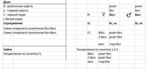 Уморских свинок (розеточная) шерсть b доминирует над гладкой b, а черная окраска c - над белой c .ге