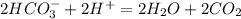 2HCO_{3}^{-} + 2H^{+} = 2H_{2}O + 2CO_{2}