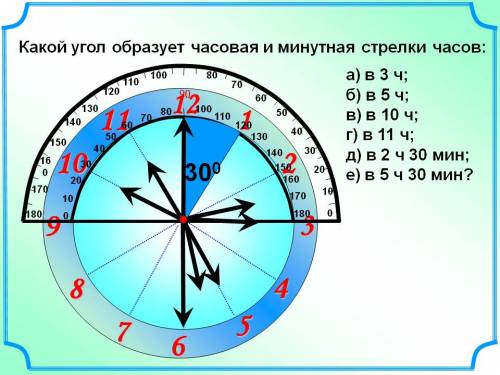 Какой угол(в градусах) образуют минутная и часовая стрелка,когда часы показывают 8 часов