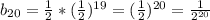 b_{20}=\frac{1}{2}*(\frac{1}{2})^{19}=(\frac{1}{2})^{20}=\frac{1}{2^{20}}