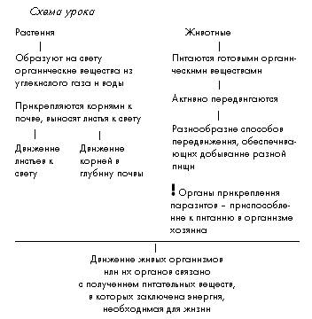 Схема доказывающая значение хищников и паразитов для сохранения разнообразия жизни на земле