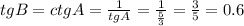 tg B=ctg A=\frac{1}{tg A}=\frac{1}{\frac{5}{3}}=\frac{3}{5}=0.6