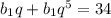 b_{1}q+b_{1}q^5=34